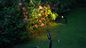 Свет пятна сада СИД на открытом воздухе водоустойчивой заливки формы ИП65 ландшафта алюминиевый черный золотой и шип СИД свет поставщик